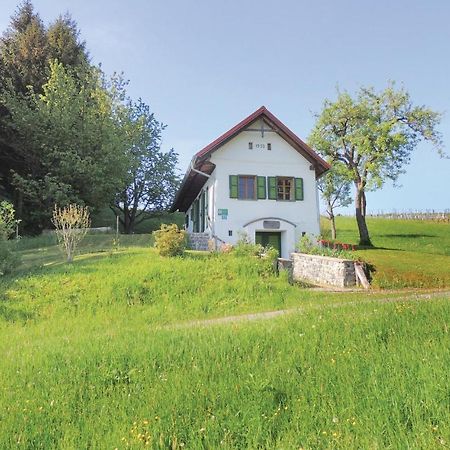 Vila Haus In Strem Mit Panoramab, Exteriér fotografie
